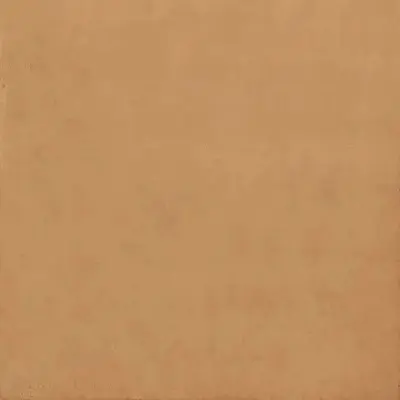 Fmg Balance IGP66579 Orange Naturale 8mm 60x60
