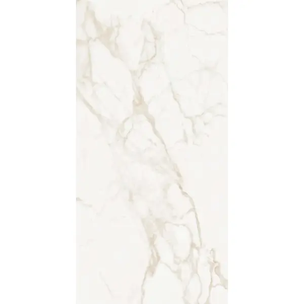 M Angelo Calacatta 9133 Matt 60x120