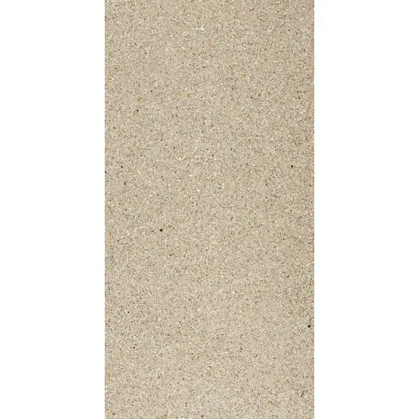 Ariostea Accademia Full Body P612648 Canaletto Natural Plus 60x120