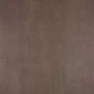 Apavisa Pelle 8431940336447 Brown Natural 89.46x89.46