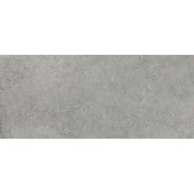 Stone Slate SC.PR.GR.STR 120x278