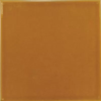 Equipe Evolution 22463 Amber 15x15