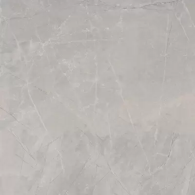 Baldocer Bplus Bayona Silver Natural 120x120