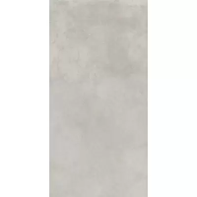 Italon Millenium 610010001458 Silver Ret 60x120