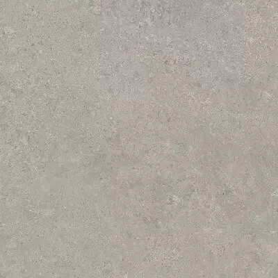 Cerim Ceramiche Elemental Stone 767287 ST Grey Lime Luc 10mm Ret 120x120
