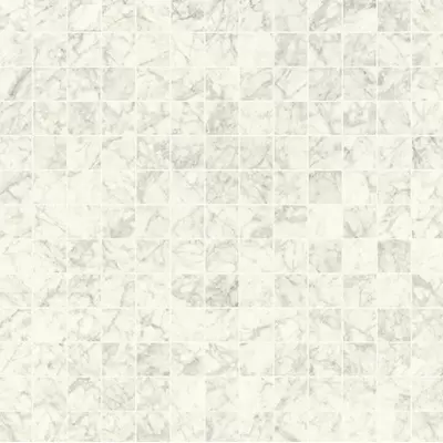 Caesar Anima Ever AFFN Supreme White Luc Ret 30x30