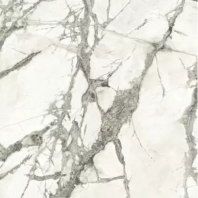 Caesar Anima Ever AFIU Magnificent White Matt Ret 80x80