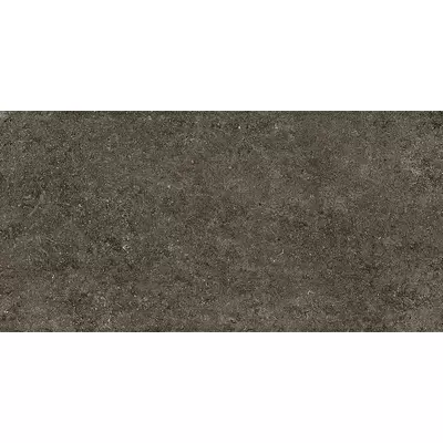 Casa Dolce Casa Sensi 768327 Brown Fossil 60x120