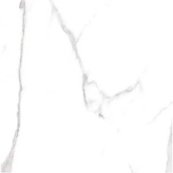 Cerdomus Omnia 88943 Statuario Matt Ret 60x60