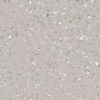 Rako Porfido DAS63811 Grey 60x60