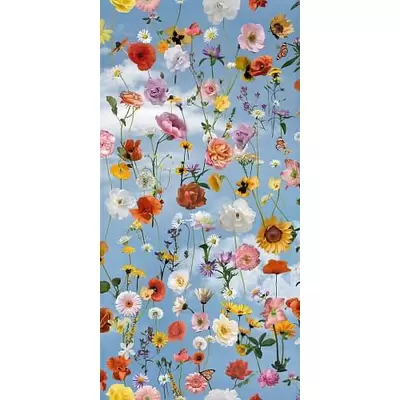 41zero42 Paper41 Pro 4100987 Mia 50x100