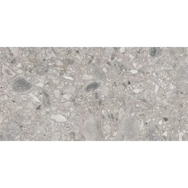 Ariana Futura 2949 Cenere Nat R 60x120