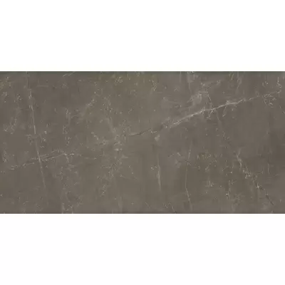 Panaria Trilogy PGXTY40 Sky Smoke Lux 60x120