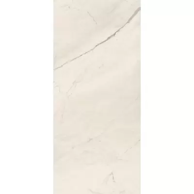 La Faenza Monoceram Trex3 161434 TREX6 260W RM 120x260