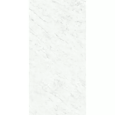 Ariostea Marmi Classici Bianco Carrara Silk 60x120