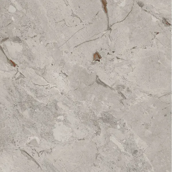 Cerdomus Karnis 93492 Grey Safe 60x60