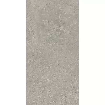 Cerim Ceramiche Elemental Stone 766524 ST Grey Limestone Luc Ret 60x120