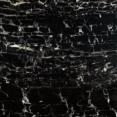 Ceramica Fioranese Prestige M3758R Portoro effect matt 74x74