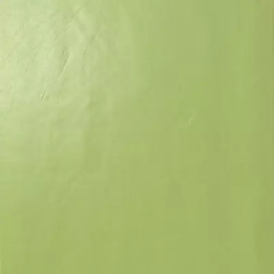 Casalgrande Padana Architecture 3956412 Acid Green Gloss 60x60