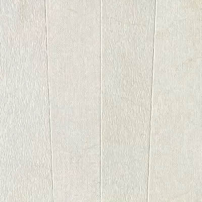 Piemmegres (Piemme Ceramiche) Stone Concept 2509 Slant Luce Ret 60x60