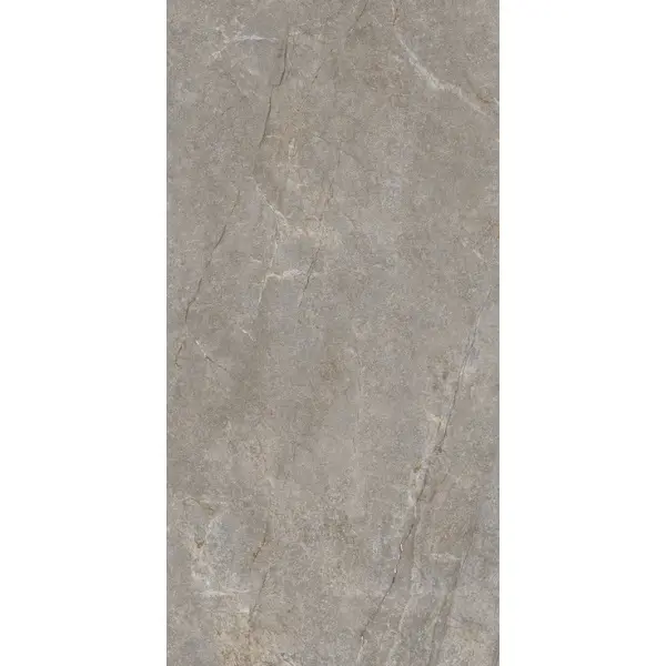 GlobalTile Arizona GT1206020804SSDGR Коричневый 60x120 - керамическая плитка и керамогранит