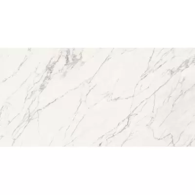 Sant Agostino Trumarmi CSATMVEN12 Venatino 60x120