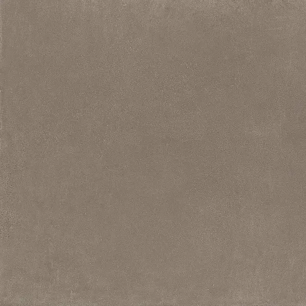 Iris Ceramica Elementi 120848 Terra visone matt 120x120