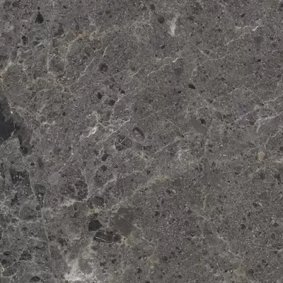 Grespania Artic 82RC65R Antracita Natural 60x60