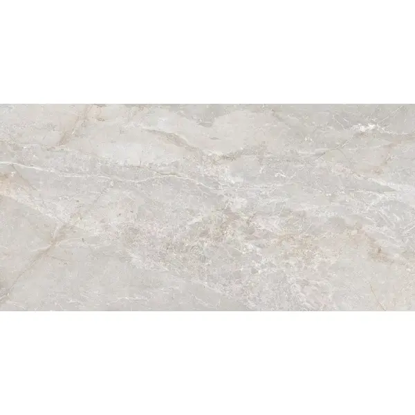 Art Ceramic Stonico Oyster Grey Glossy 60x120