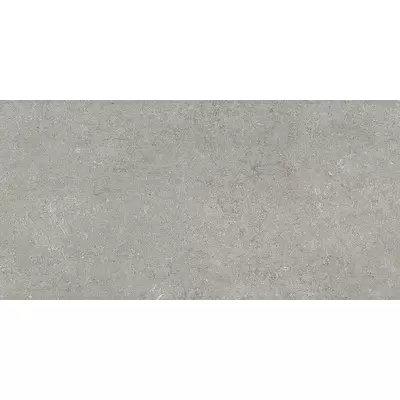 Casa Dolce Casa Sensi 768316 Grey Fossil 60x120