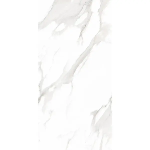 Staro Palacio Super White Polished 60x120
