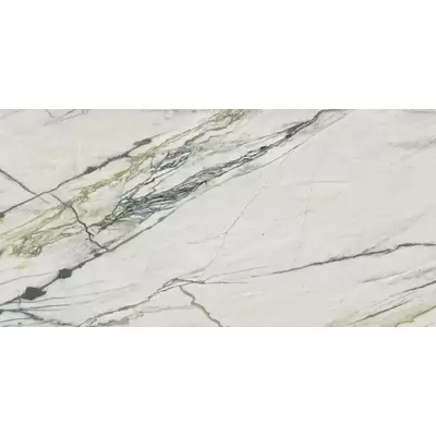 Ariana Epoque 21 PF60009344 Calacatta Bamboo Ant R 60x120