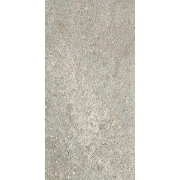 Ariostea Astra Full Body P36656 Brume Natural Plus 30x60