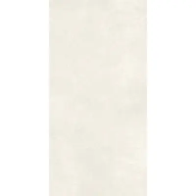 Imola ceramica Retina Rtn6Neve12Rm 60x120