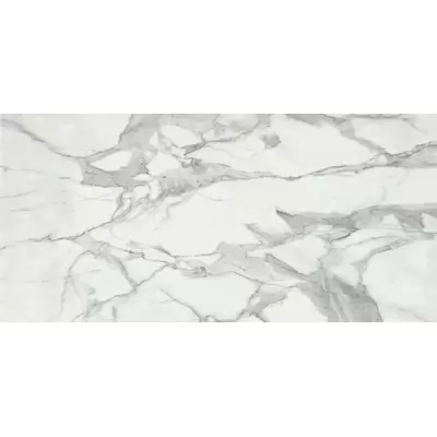 Baldocer Bplus Invictus Pulido-2 120x260