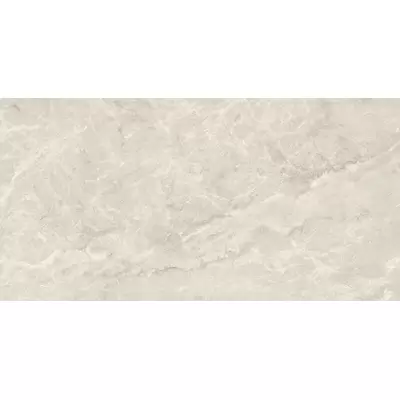 Sant Agostino Trumarmi CSATMSIL12 Silver 60x120