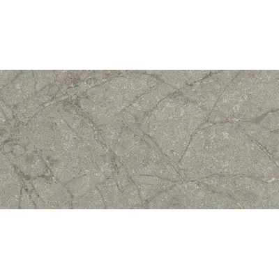 Flaviker PI.SA Supreme Memories Grey Soapstone Nat R 60x120