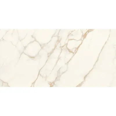 Stone Calacatta SLC.DL.CLOB.LG BOOK 120x260