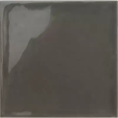 Tonalite Silk 1634 Grafite 15x15