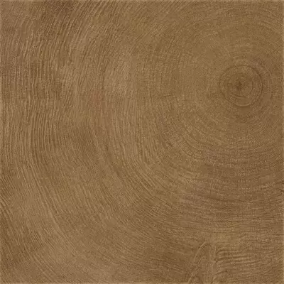 Provenza W Age E1CS Ring Marrone Rett 60x60