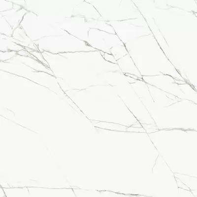 Casalgrande Padana Marmoker 11950094 Titan White Honed 59x59