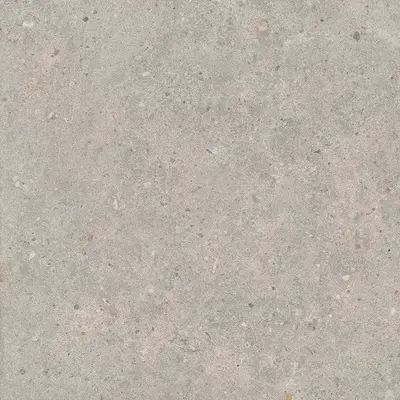 Kerama Marazzi Риккарди SG653720R Серый светлый матовый обрезной 60x60