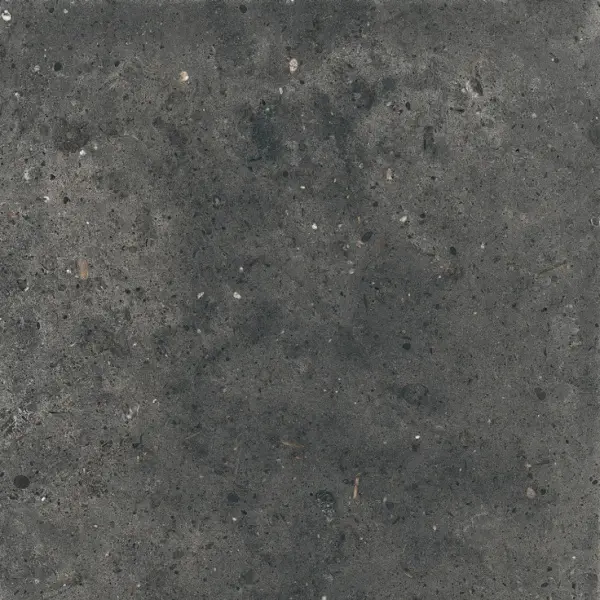 Ariana Anima 0006059 Fumo Nat Ret 60x60 - керамическая плитка и керамогранит