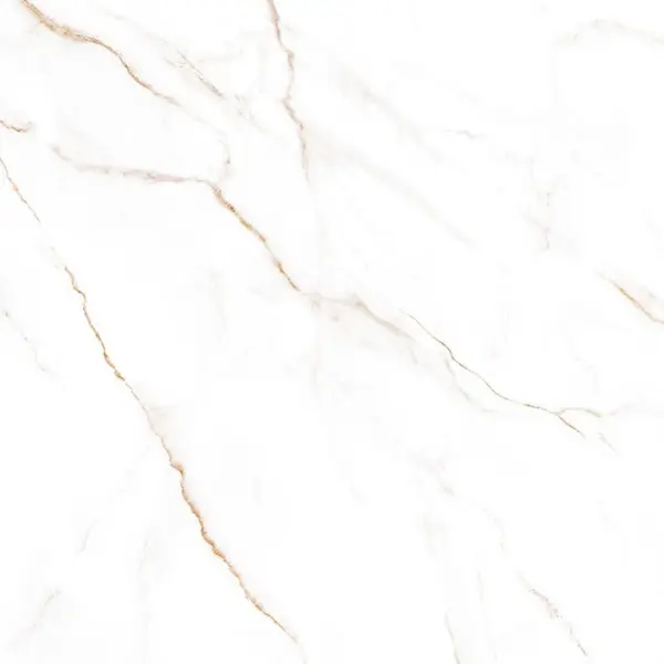 Alma ceramica Euphoria GFU04NCL04R Neo Calacatta Матовый 60x60