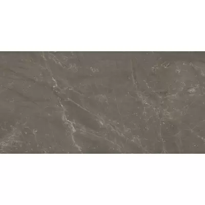Panaria Trilogy PZ9TYS4 Sky Smoke Soft 50x100