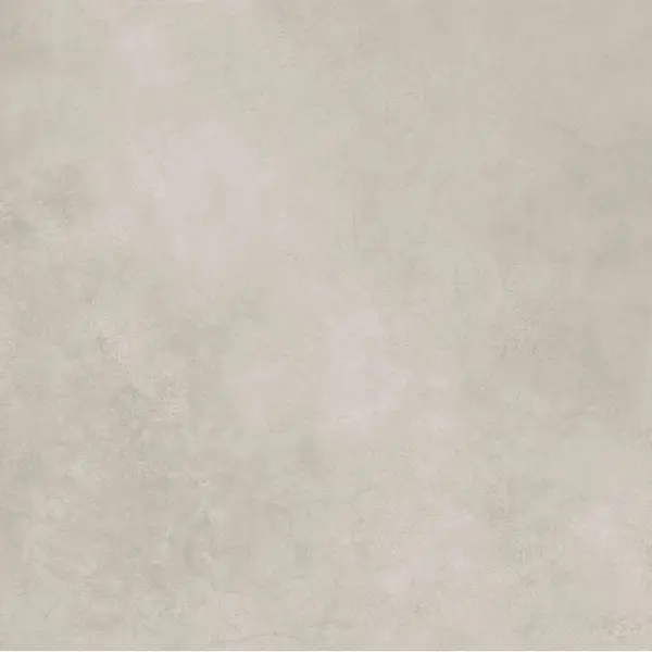 Ariana Camouflage 0016240 Silver Beton Nat Ret 80x80 - керамическая плитка и керамогранит