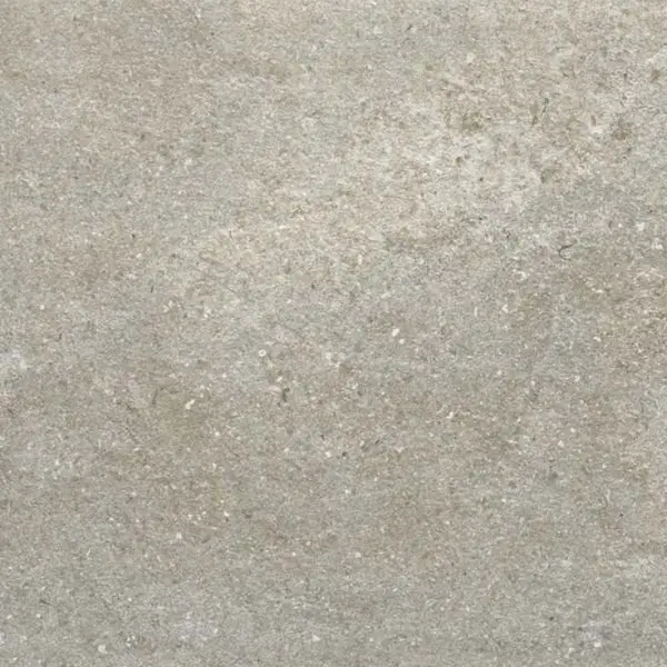 Ariostea Astra Full Body P6656 Brume Natural Plus 60x60