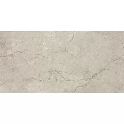 Piemmegres (Piemme Ceramiche) Stone Concept 2229 Argento Nat-Ret 60x119,5