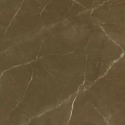 Porcelanite Dos 1804 Tabaco Rectificado Pulido 98x98