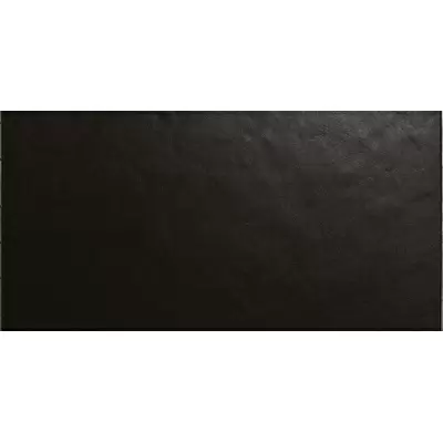 Casalgrande Padana Architecture 4796548 Black Gloss 30x60